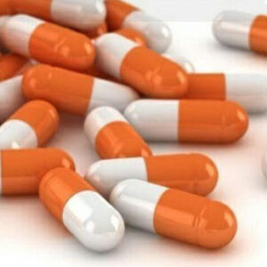 Cordyceps Capsules