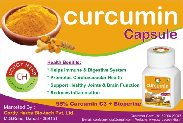 Curcumin Capsules Cordy Herb